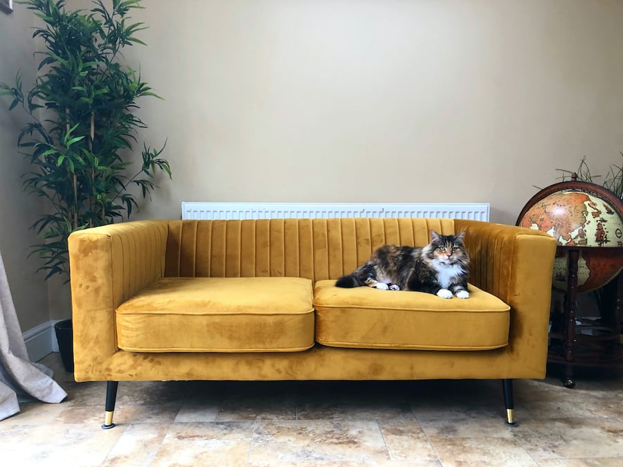 Mustard Slender sofa in beige interior