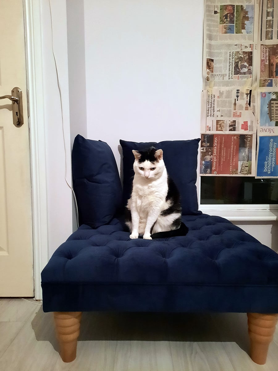 Chester Max Footstool - Emma