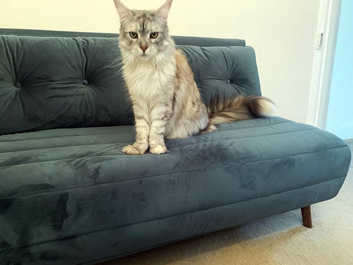 Flic Sofa - Rob