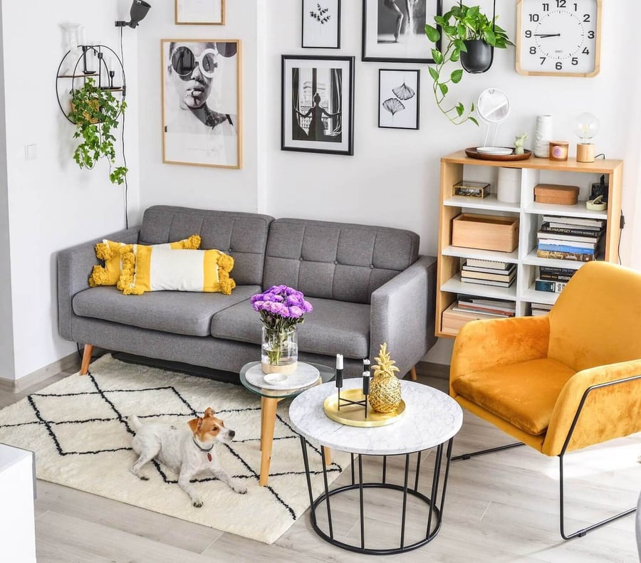 Small Grey Retro Sofa and Yellow Armchair on Black Metal Frame